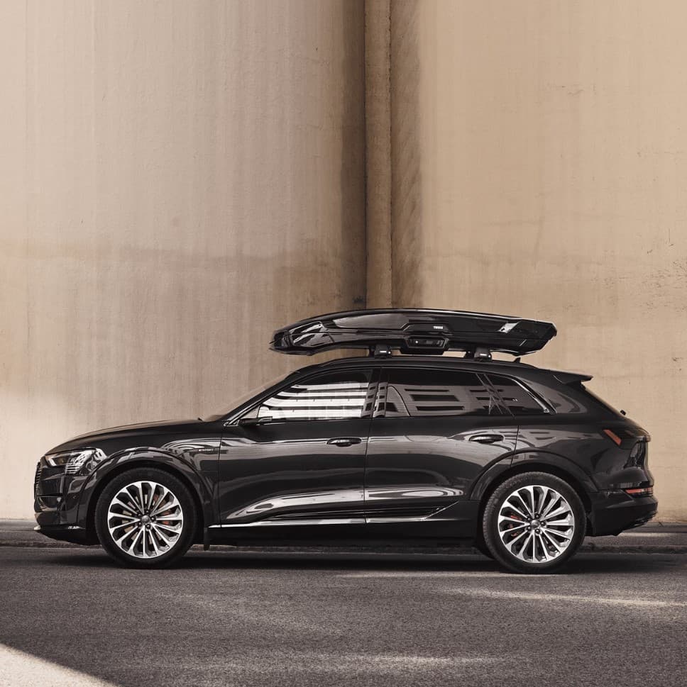 Thule Vector - Alpine Cargo Box 5