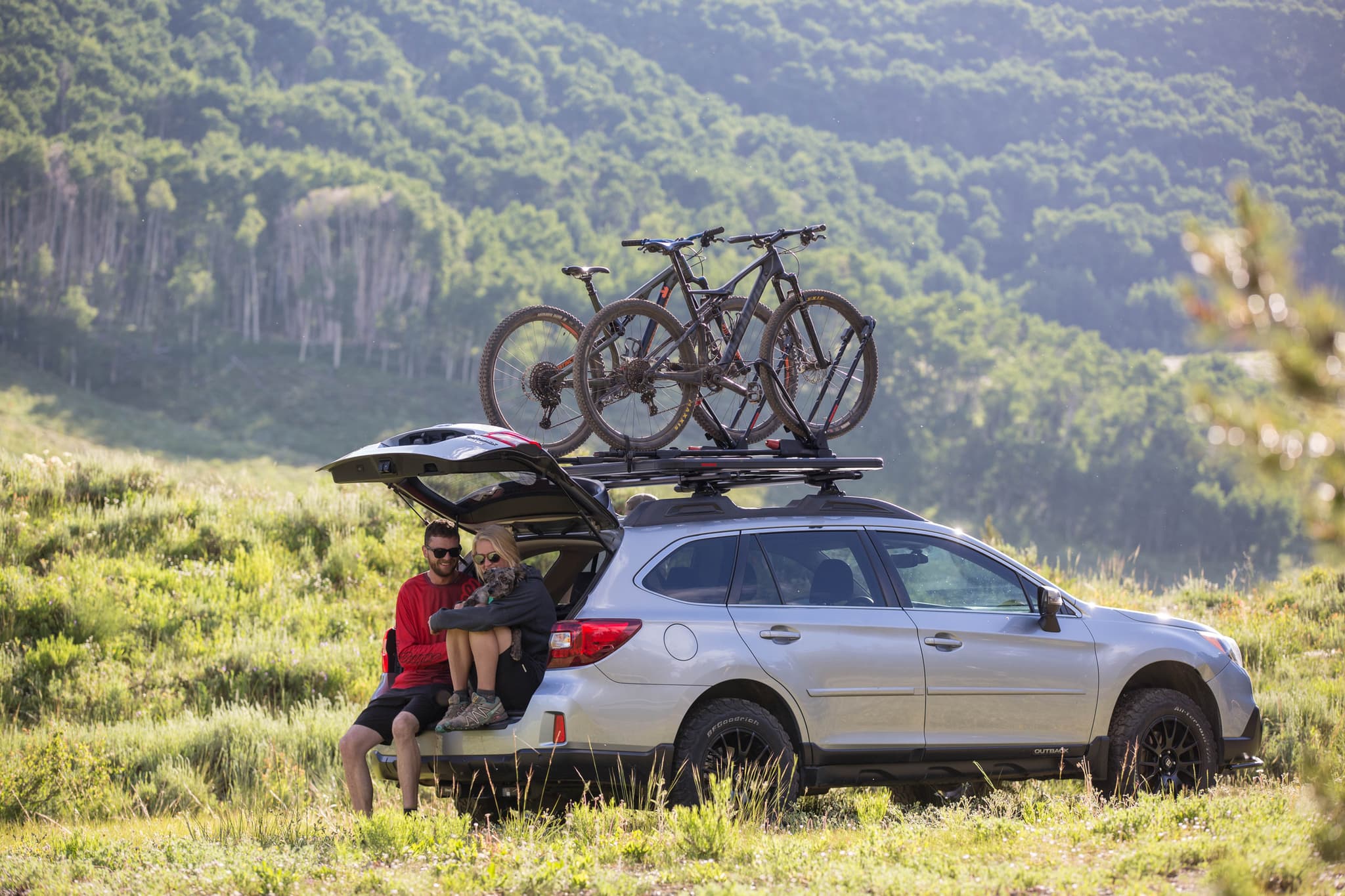 Yakima Upright Bike Racks